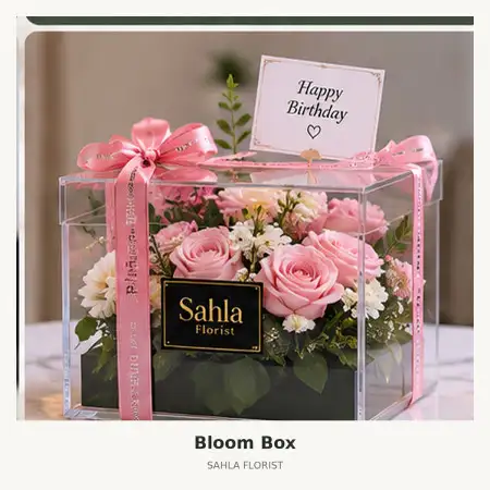 Bloom Box Cipedes